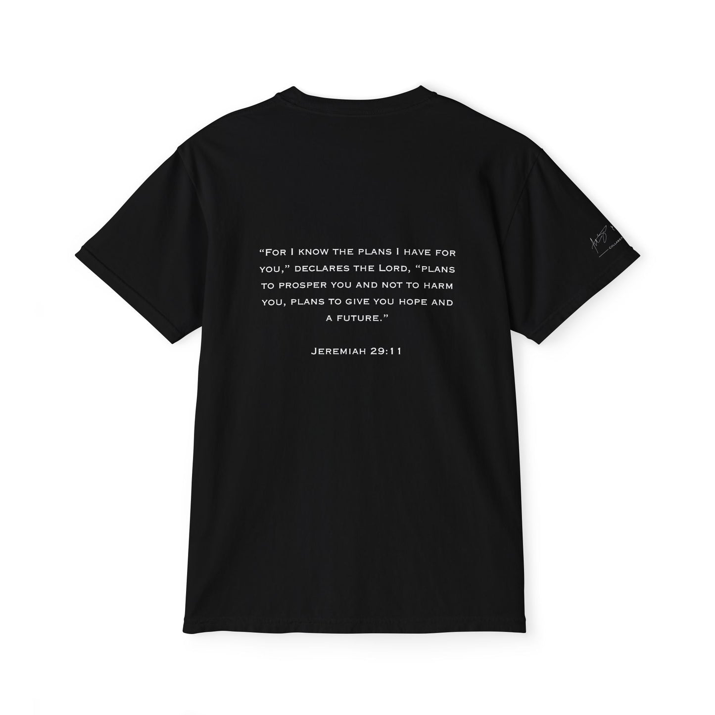 Jeremiah 29:11 Unisex T-Shirt